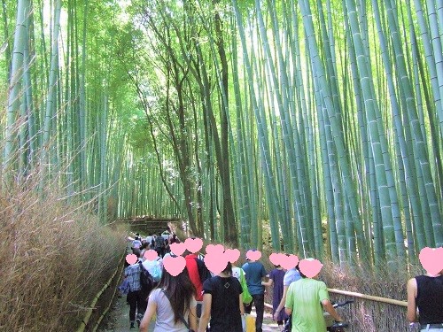 arashiyama takemori 1