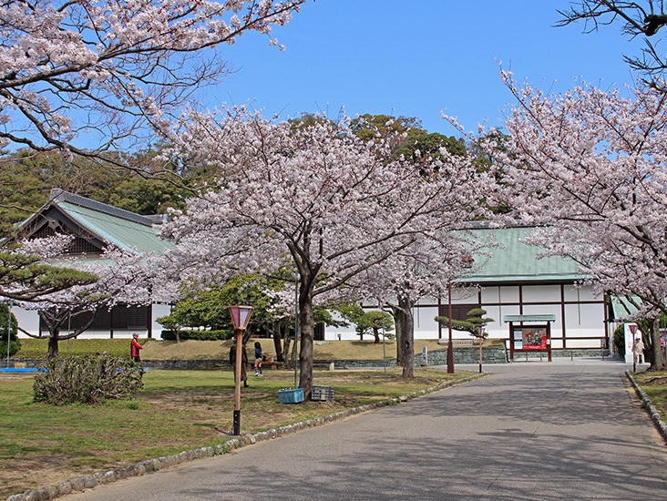 tokushima park 6