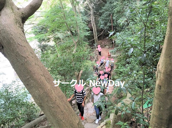 kounosan 11