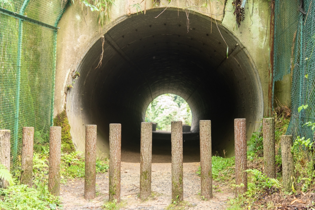 kumini tunnel 0
