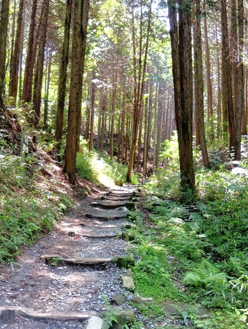 kunimi course 7