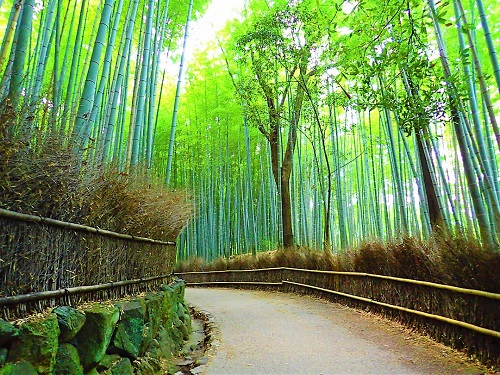 arashiyama takemori 4