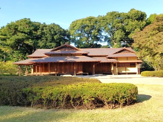 ninowa garden chaya 0