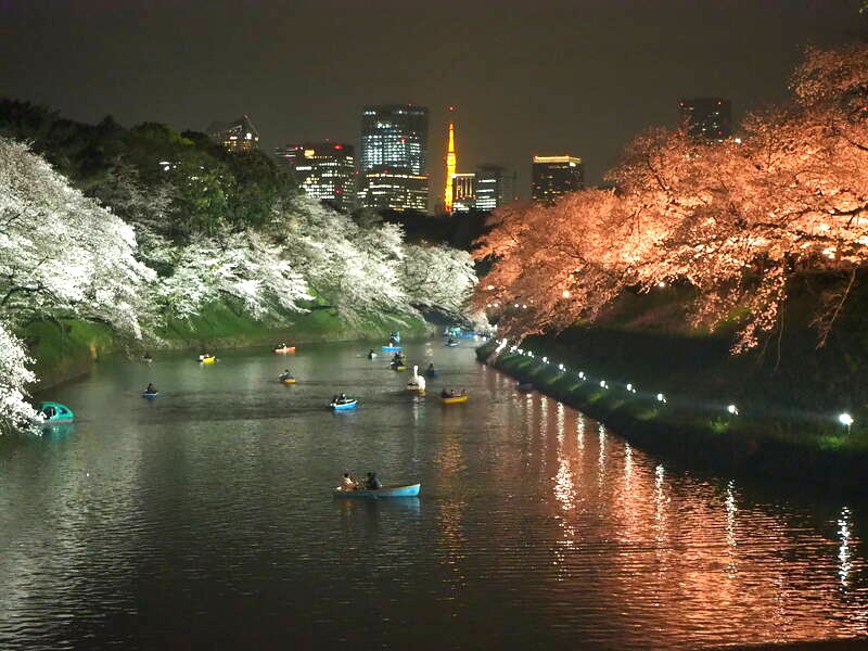 hanzohori night 0