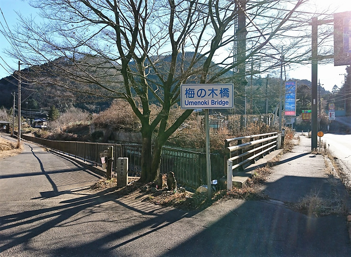 umenokibashi 1