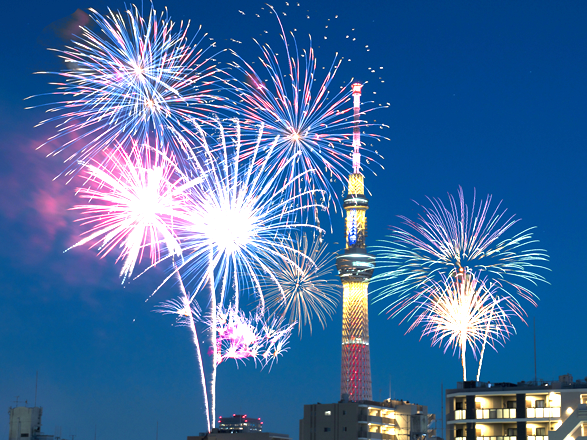 sumida firework top 2