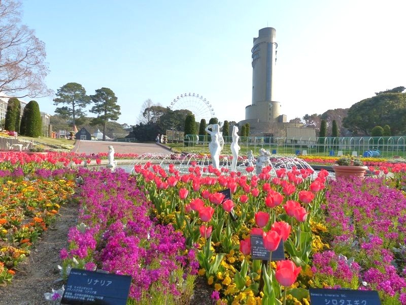 botanical garden 1