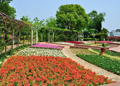 botanical garden 2