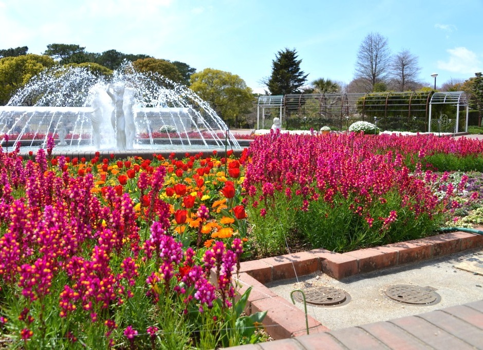 botanical garden 3