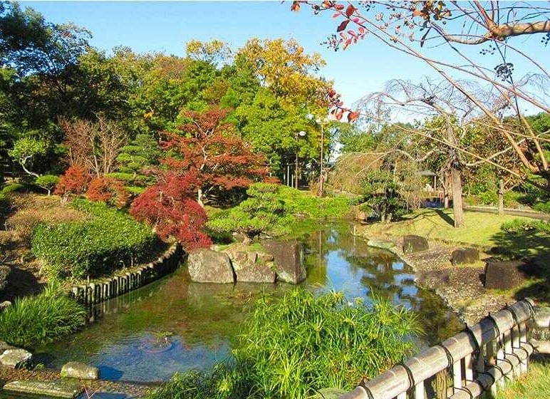 botanical garden 6