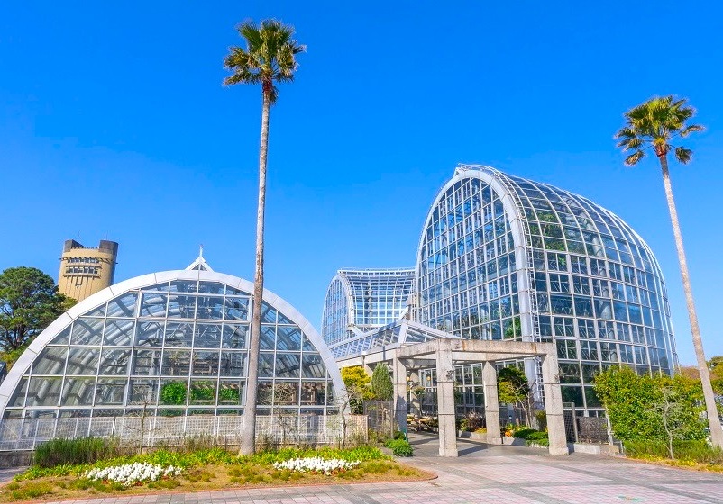 botanical greenhouse 0