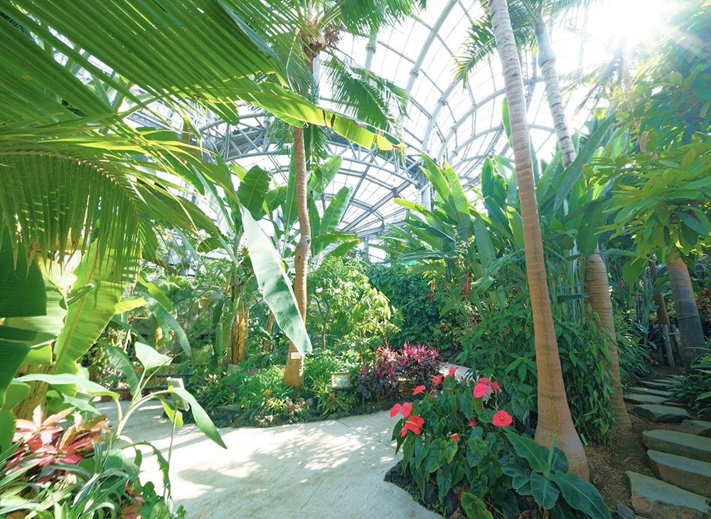 botanical greenhouse 2