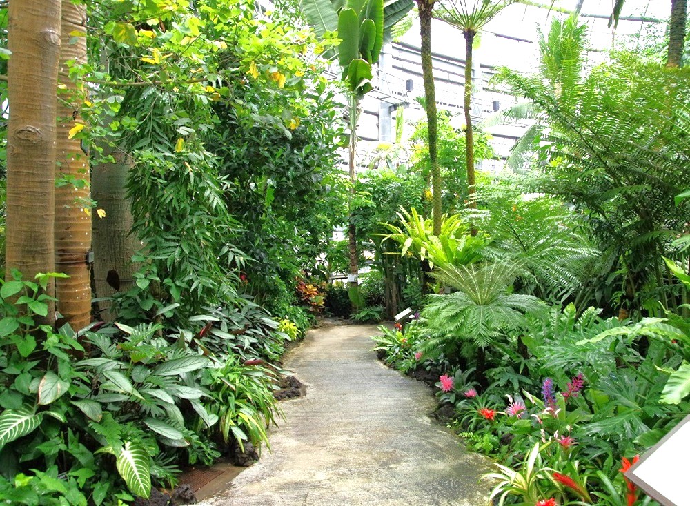botanical greenhouse 3