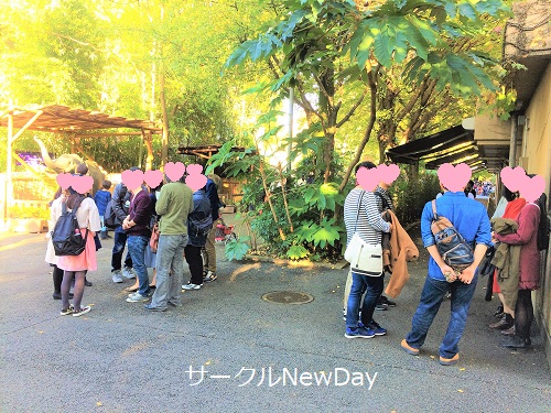 nonhoi 12