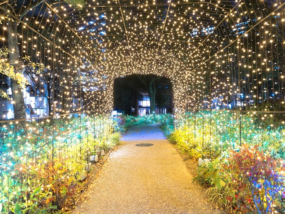 sakae illumi 14