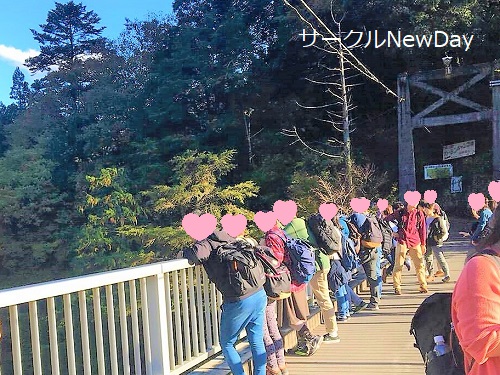 hatonosu 7