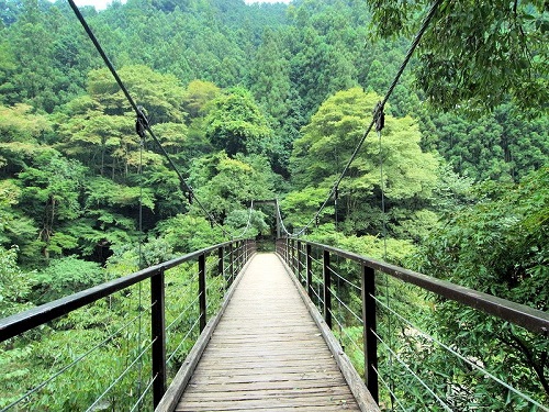 hatonosu bridge 2