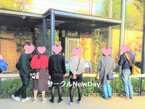 zoo 12